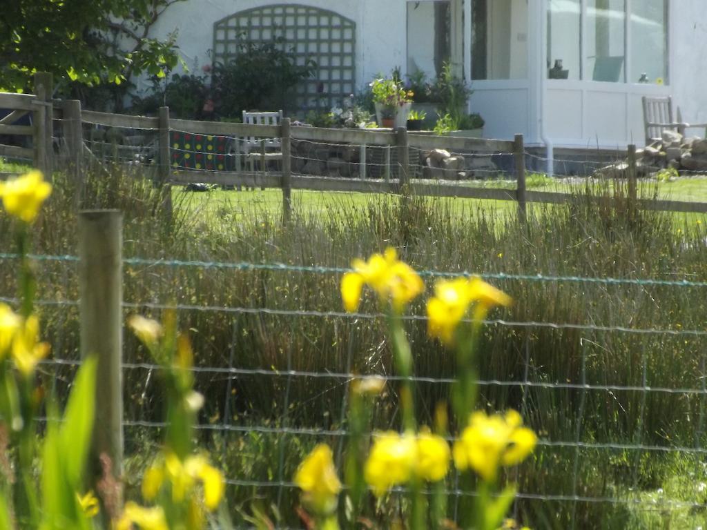 The Swallows Guest House New Quay  Bilik gambar